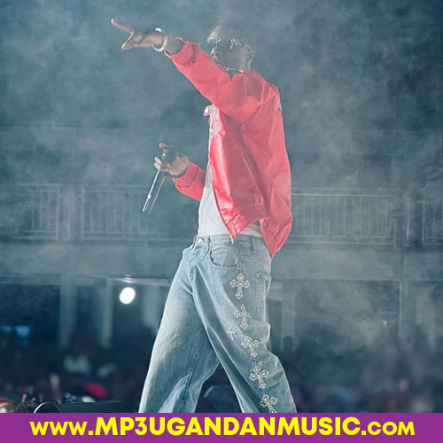 Omusheshe--Ray G x Spice Diana